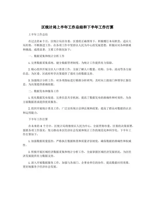 区统计局上半年工作总结和下半年工作打算