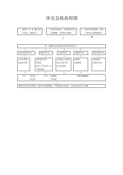 休克急救流程图