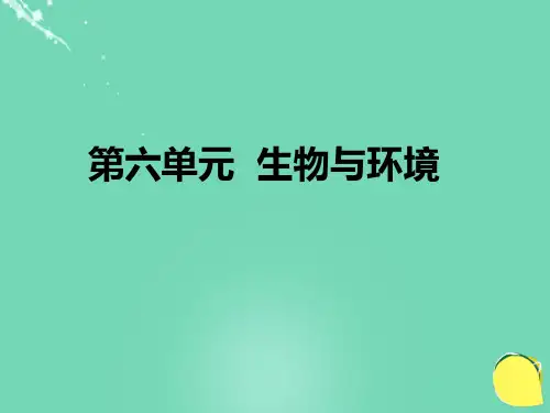 八年级生物下册 第六单元 生物与环境专题复习课件 济南版