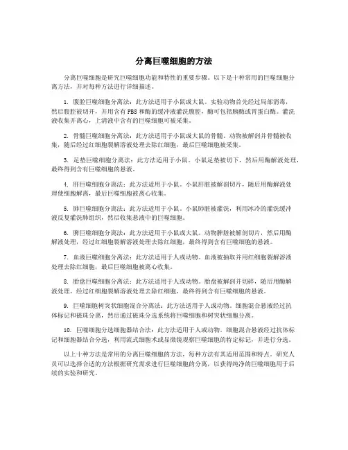 分离巨噬细胞的方法