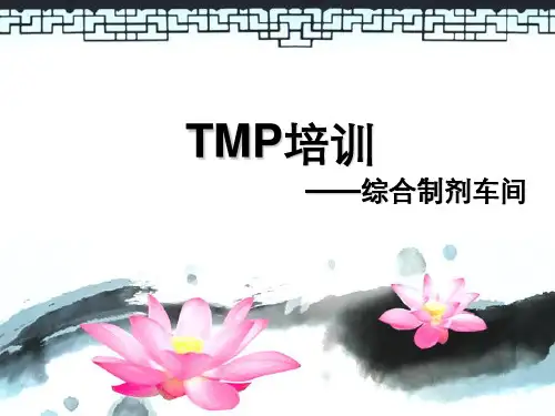 全员设备管理TMP培训