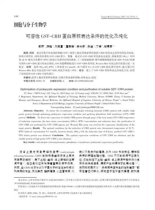 可溶性GST-CRH蛋白原核表达条件的优化及纯化