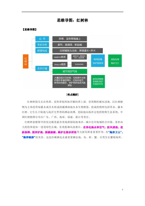 高三二轮复习专项思维导图：红树林