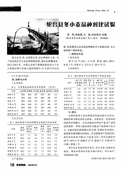 轮台县冬小麦品种对比试验