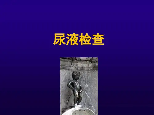 诊断学__肾功能和尿液检查
