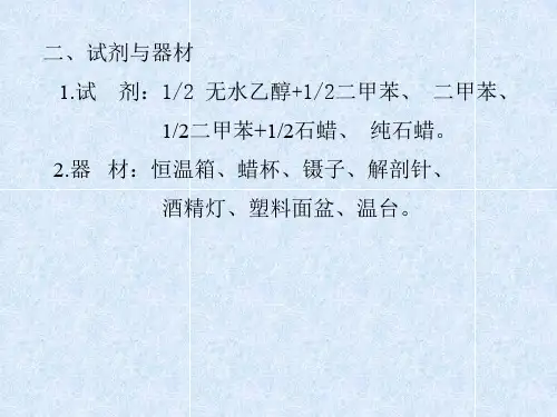 石蜡切片法透明透蜡包埋