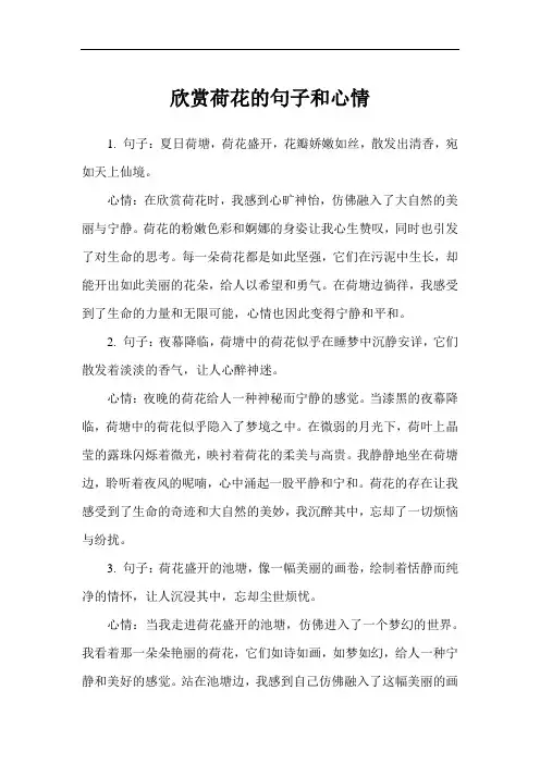 欣赏荷花的句子和心情