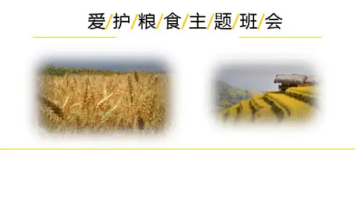 小学生主题班会通用版 爱护粮食,珍惜粮食 课件(共33张PPT)
