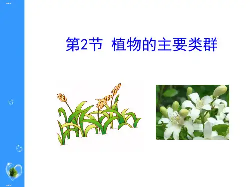《植物的主要类群》PPT-完美版