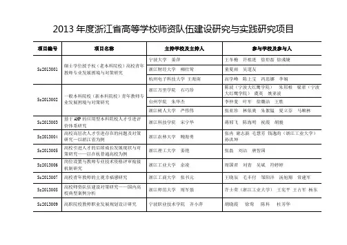 2013年度浙江省高等学校师资队伍建设研究与实践研究项目