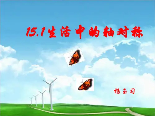 生活中的轴对称图形 ppt课件