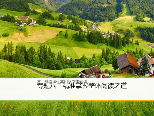 2018年高考语文(通用版)二轮复习第三章非连续性实用类文本阅读ppt (1)