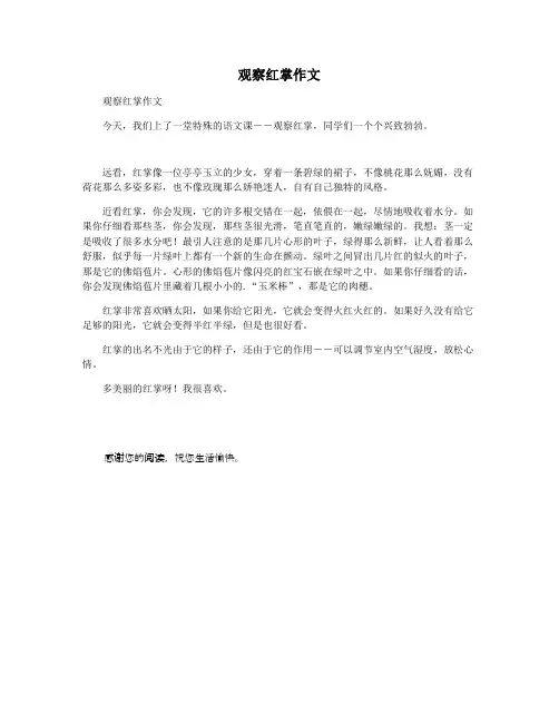 观察红掌作文