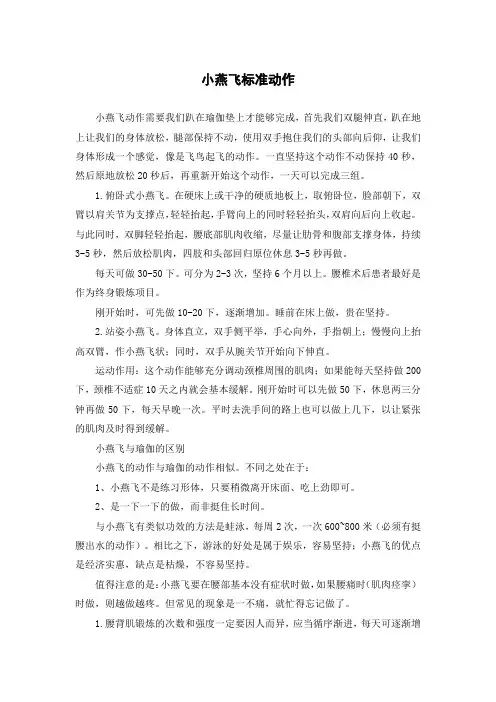 小燕飞标准动作