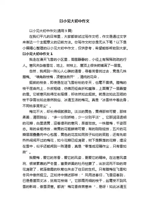 以小见大初中作文
