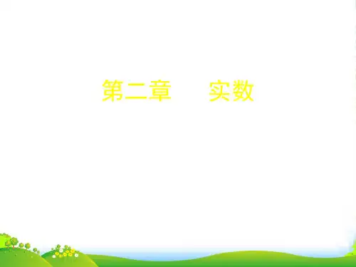 北师大版八年级数学上册《实数》课件(共18张PPT)