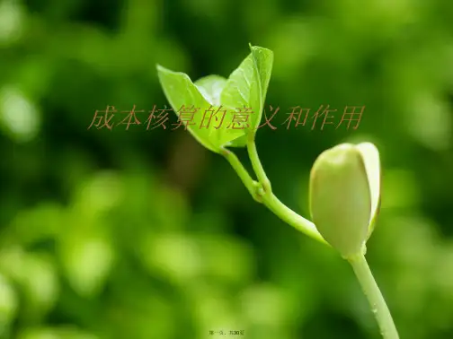 成本核算的意义和作用