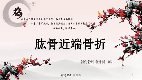 肱骨近端骨折