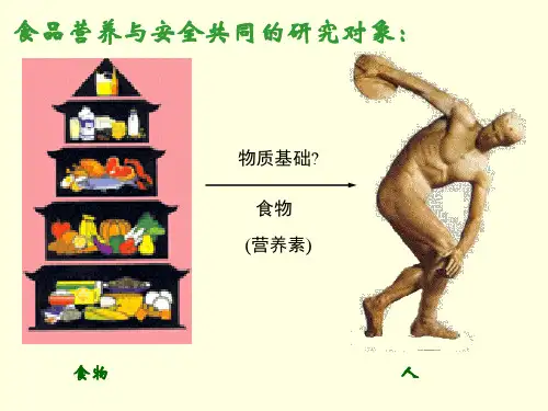 营养生理基础与能量平衡PPT课件