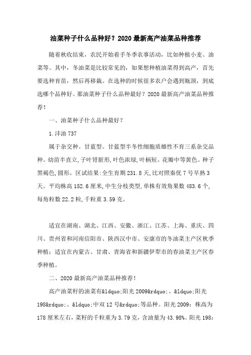 油菜种子什么品种好？2020最新高产油菜品种推荐