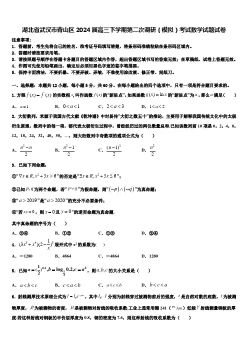 湖北省武汉市青山区2024届高三下学期第二次调研(模拟)考试数学试题试卷