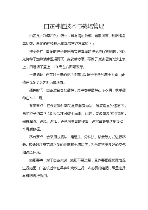 白芷种植技术与栽培管理
