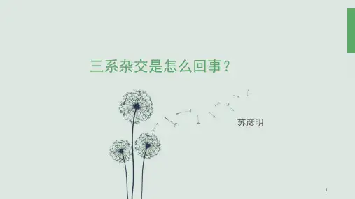 三系制种ppt课件