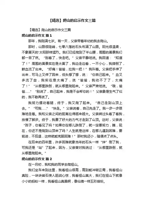 【精选】爬山的启示作文三篇