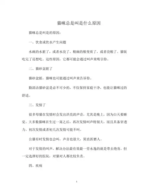 猫咪总是叫是什么原因