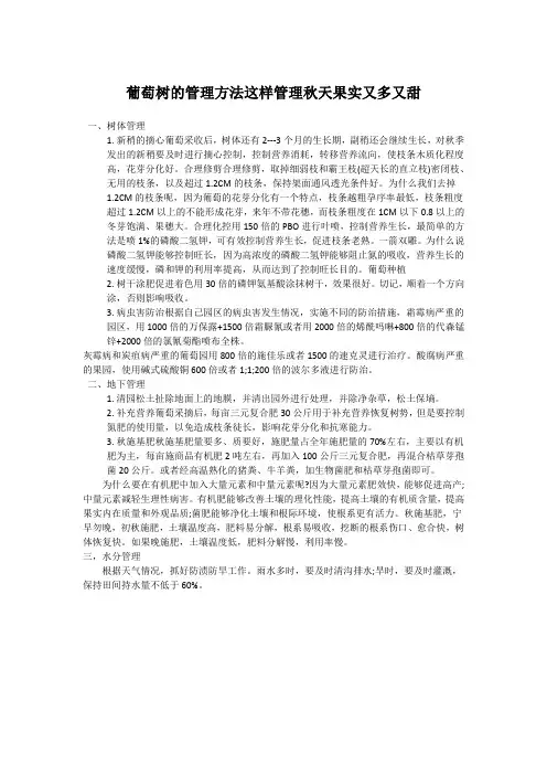 葡萄树的管理方法这样管理秋天果实又多又甜