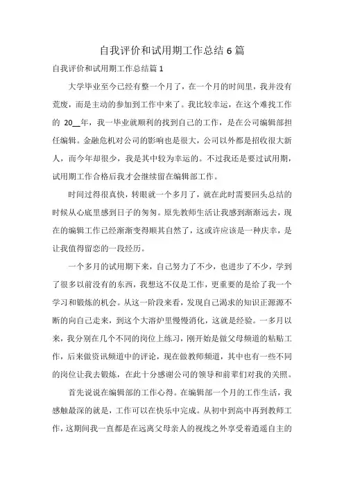 自我评价和试用期工作总结6篇