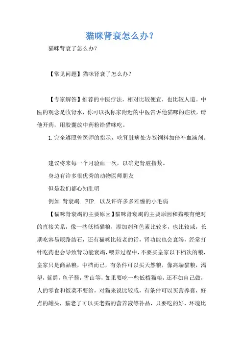 猫咪肾衰怎么办？