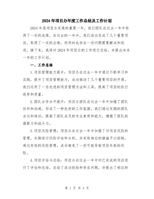 2024年项目办年度工作总结及工作计划