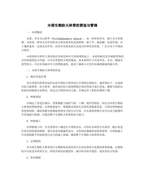 木荷生物防火林带的营造与管理