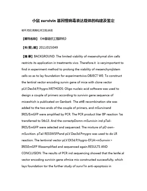 小鼠survivin基因慢病毒表达载体的构建及鉴定