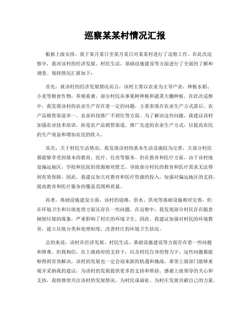 巡察某某村情况汇报