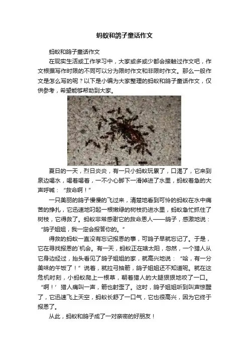 蚂蚁和鸽子童话作文