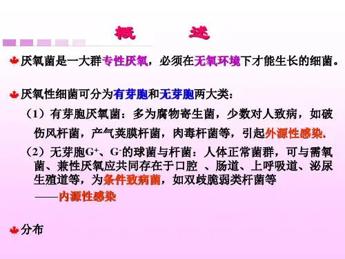 最新：厌氧性细菌课件-文档资料