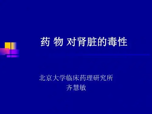 药物对肾脏的毒性