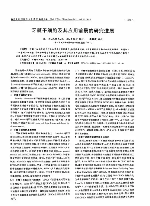 牙髓干细胞及其应用前景的研究进展