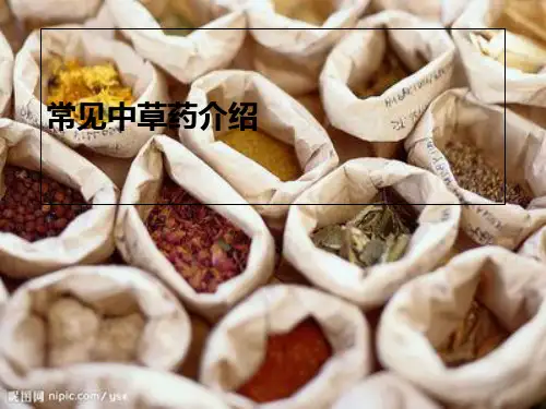 常见中草药图片及功效介绍PPT课件