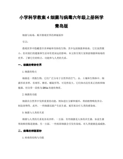 小学科学教案4细菌与病毒六年级上册科学青岛版