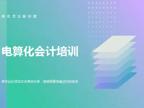 电算化会计理论培训