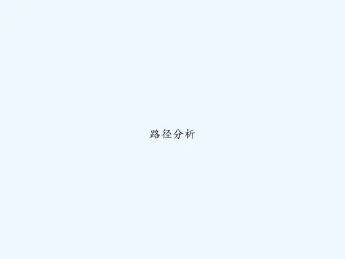 路径分析 PPT