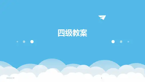 2024版四级教案