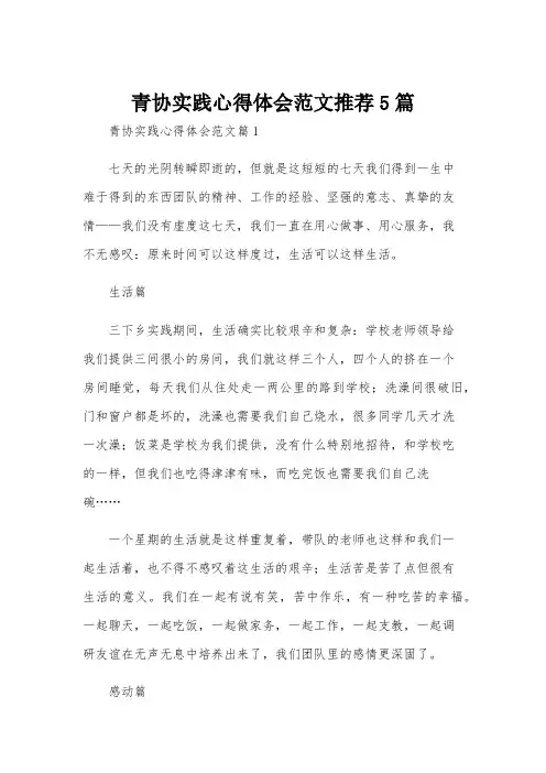 青协实践心得体会范文推荐5篇