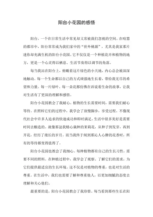 赞美阳台小花园感悟