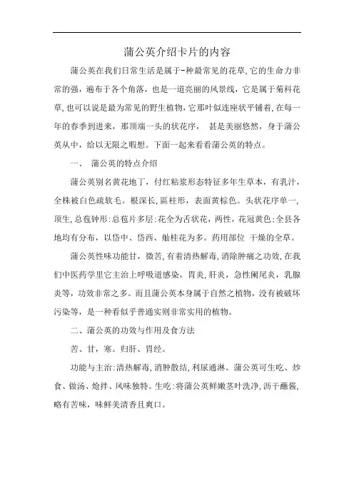 蒲公英介绍卡片的内容