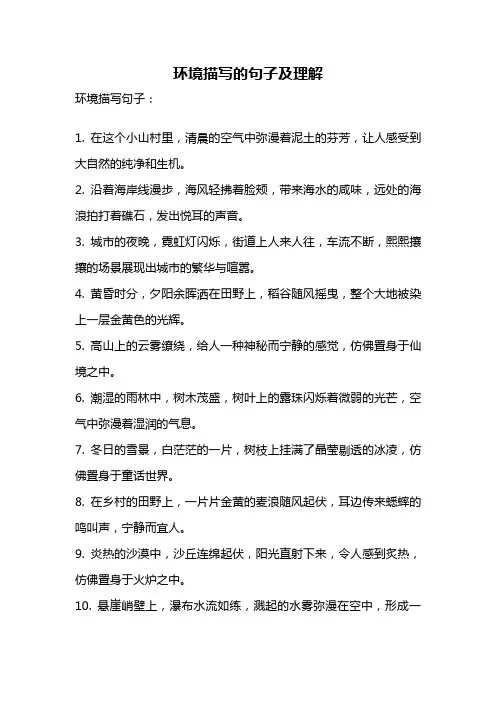 环境描写的句子及理解