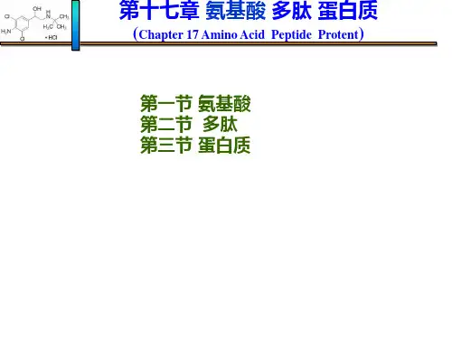 第17章 氨基酸、多肽、蛋白质